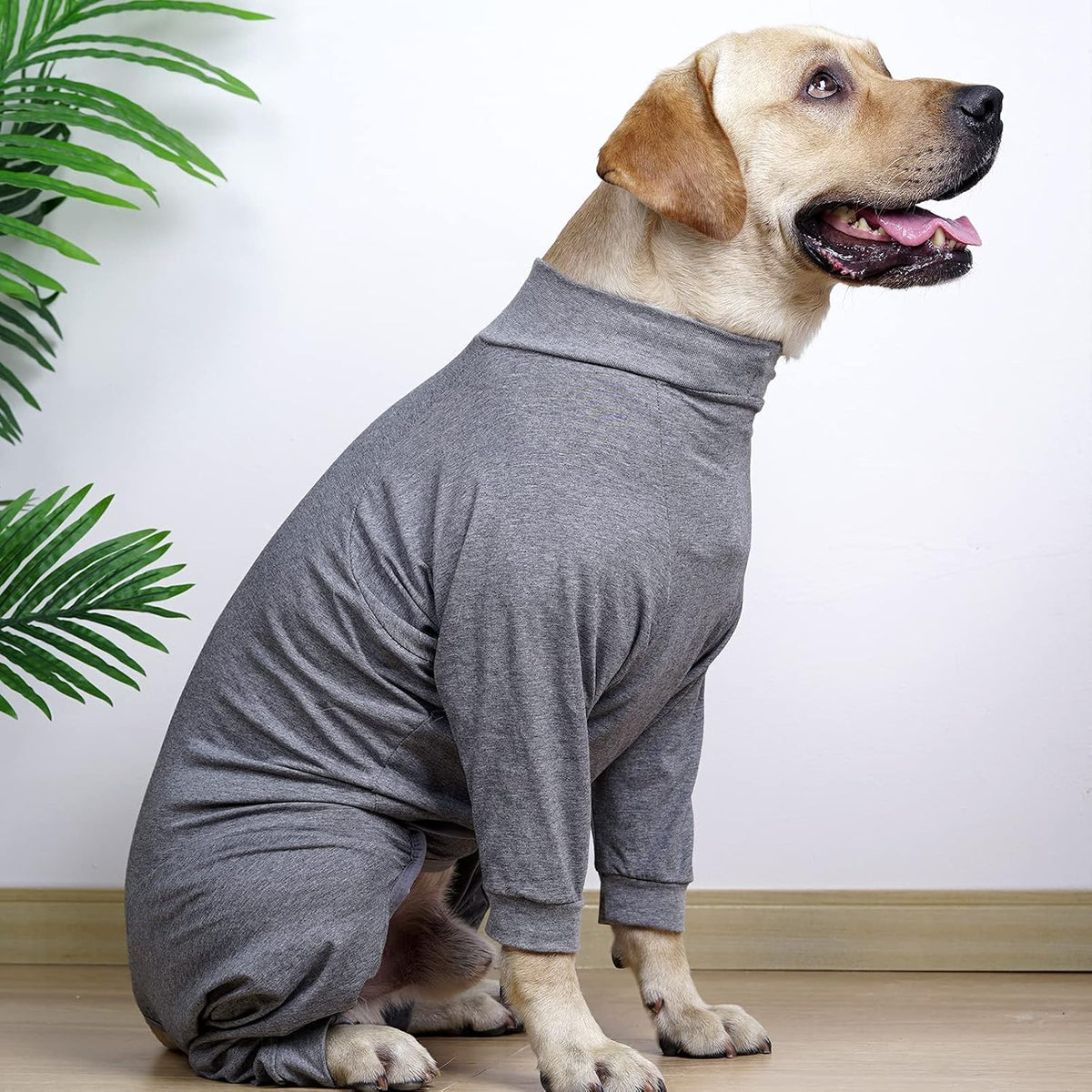 Dotoner postoperative dog shirt protecting abdominal wounds side view