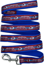 Pets First Philadelphia Flyers large dog leash lifestyle setup