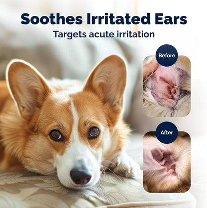 Vetnique Oticbliss bottle for dog and cat ear health