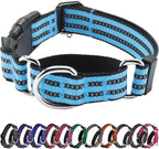 Heavy duty plastic quick release safety buckle on purple collar