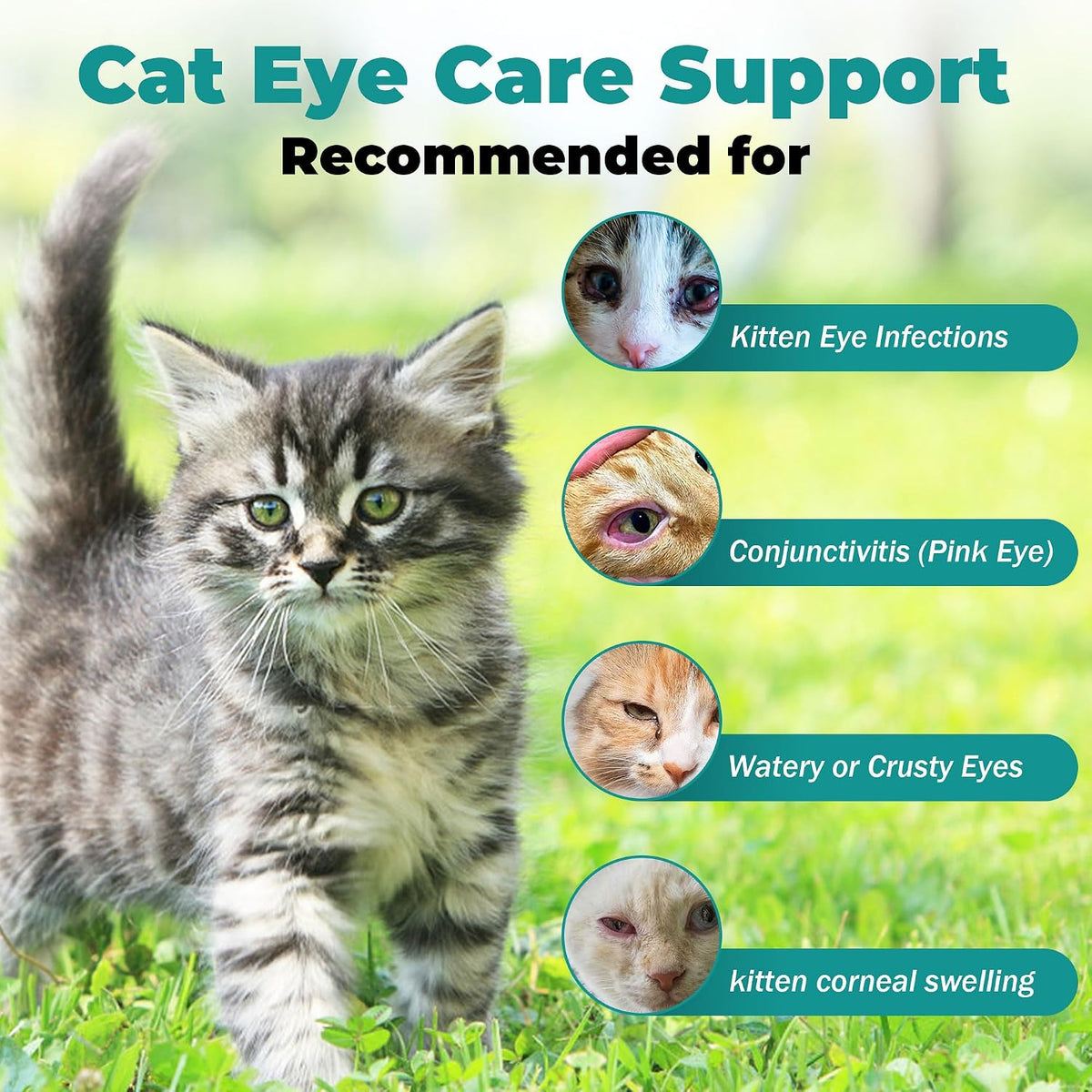 Close-up of the nutritional facts on the VivaElixir cat vision and eye area care supplement
