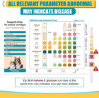 Close up view of the ten parameter color reagent pads on a One Step pet urinalysis strip