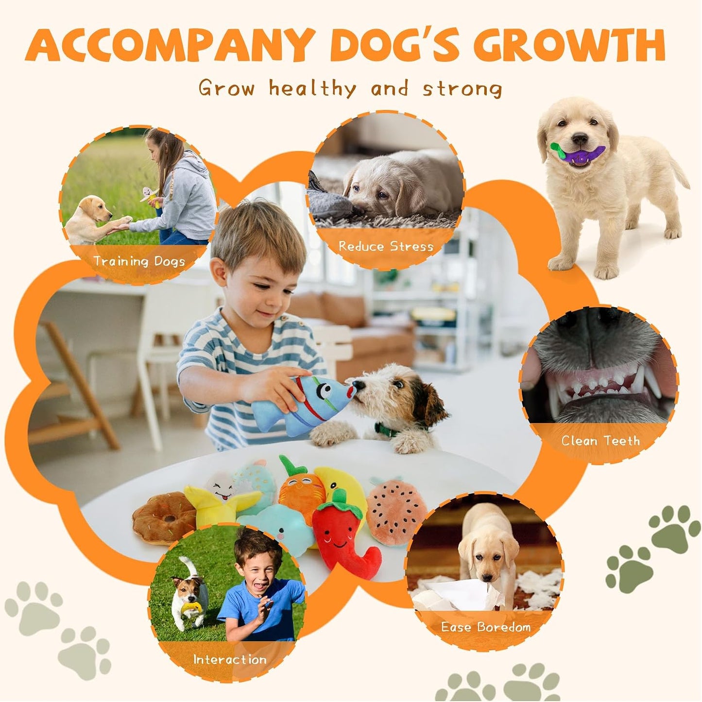QTwoof twenty piece pet collection including internal squeaker plush toys and four complimentary dog bags.
