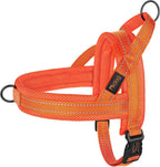 Didog No Pull Dog Harness with Breathable Mesh Padded,Reflective & Quick Fit Light Weight Dog Strap Vest Harness,Easy for Walking Training (L:Chest 26-32", Mesh-Hot Pink) - Image 11