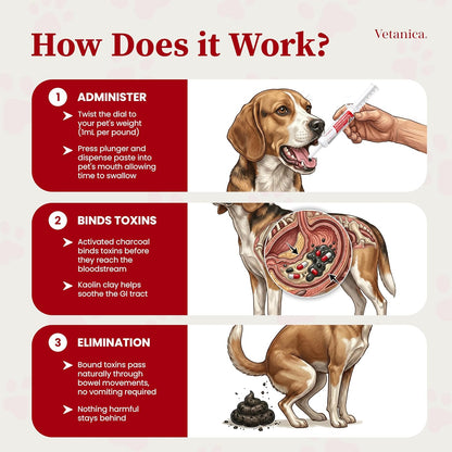 Close up of Vetanica PawMergency packaging and dosage dial