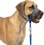 Headcollar for Dogs, Extra Soft Padded, Reflective, No Pull Dog Collar, Gentle Leader for Dogs with Durable Nylon Leash, Padded Handle - Navy Blue (Medium) - Image 9