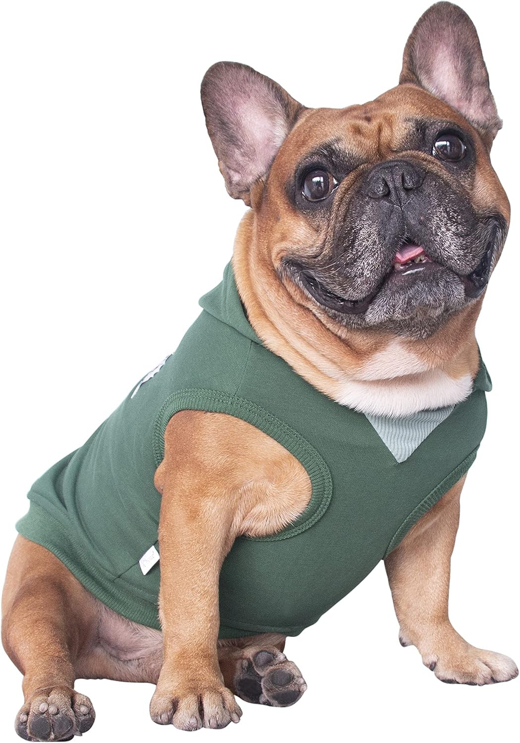 iChoue French Bulldog Frenchie Clothes Hoodies for Dogs Pug English Boston Terrier Bully Pitbull Corgi Sweatshirt Sweater Clothing - Grey/XLarge - Image 14