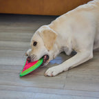 Authentic USA imported Outward Hound dog toy product packaging