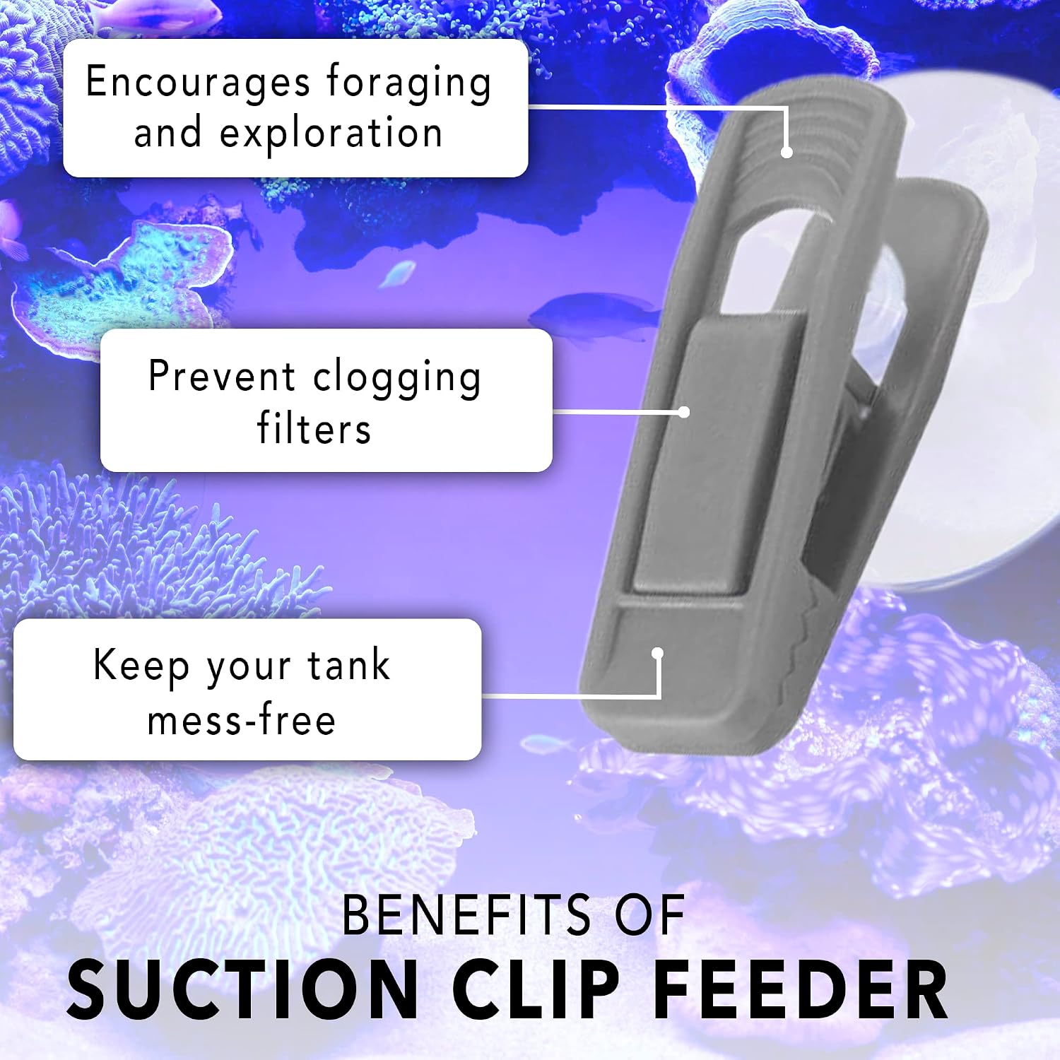 Three-piece set of JOR suction cup fish feeding clamps showing the durable rubber suction mechanism.