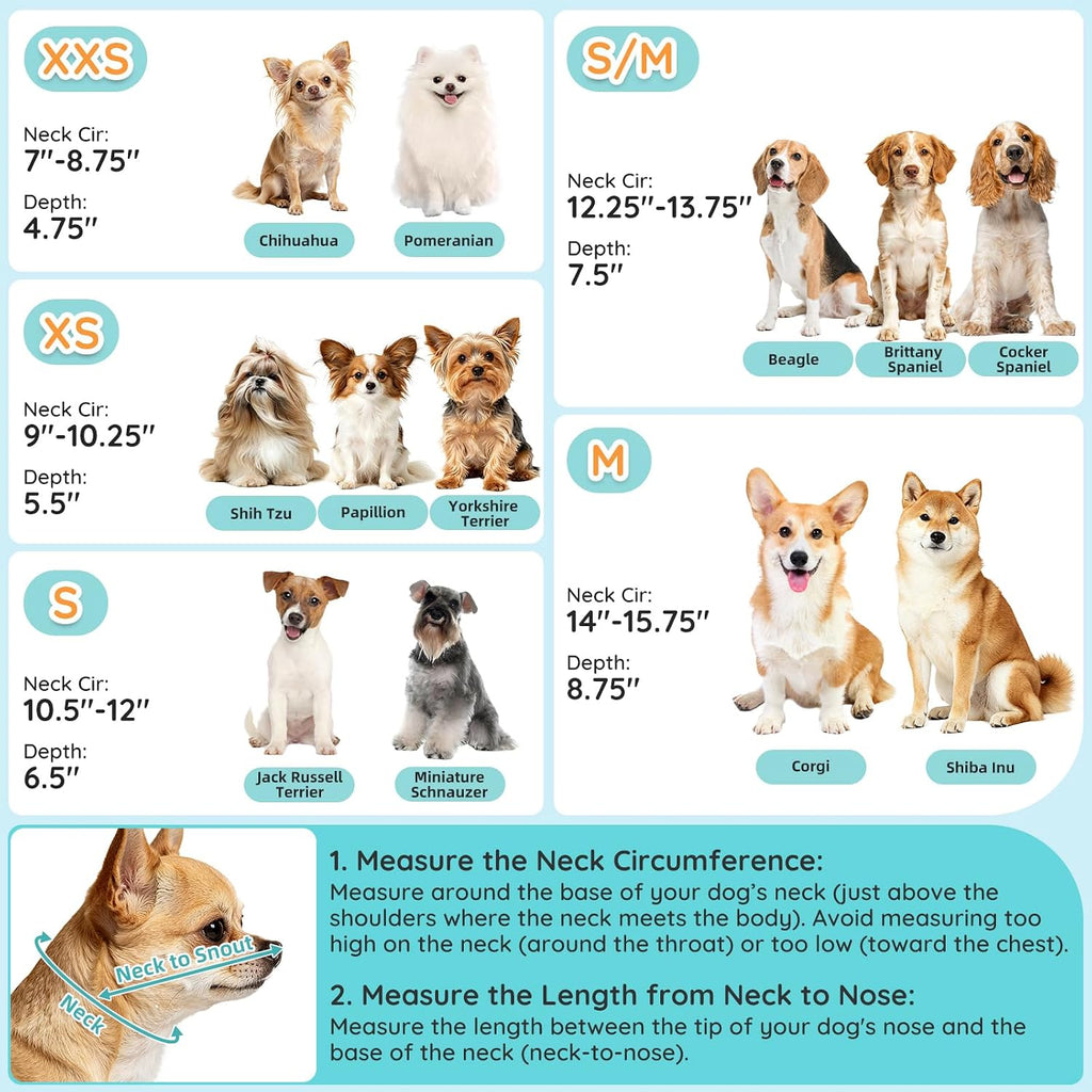 Adjustable closure mechanism on small dog recovery collar
