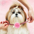 Back view of Hoteam dog collar flowers highlighting the attached elastic rubber bands