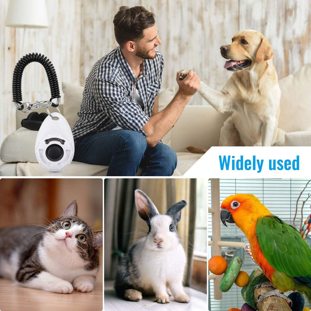 Portable pocket sized cat and dog training accessories for outdoor obedience lessons.