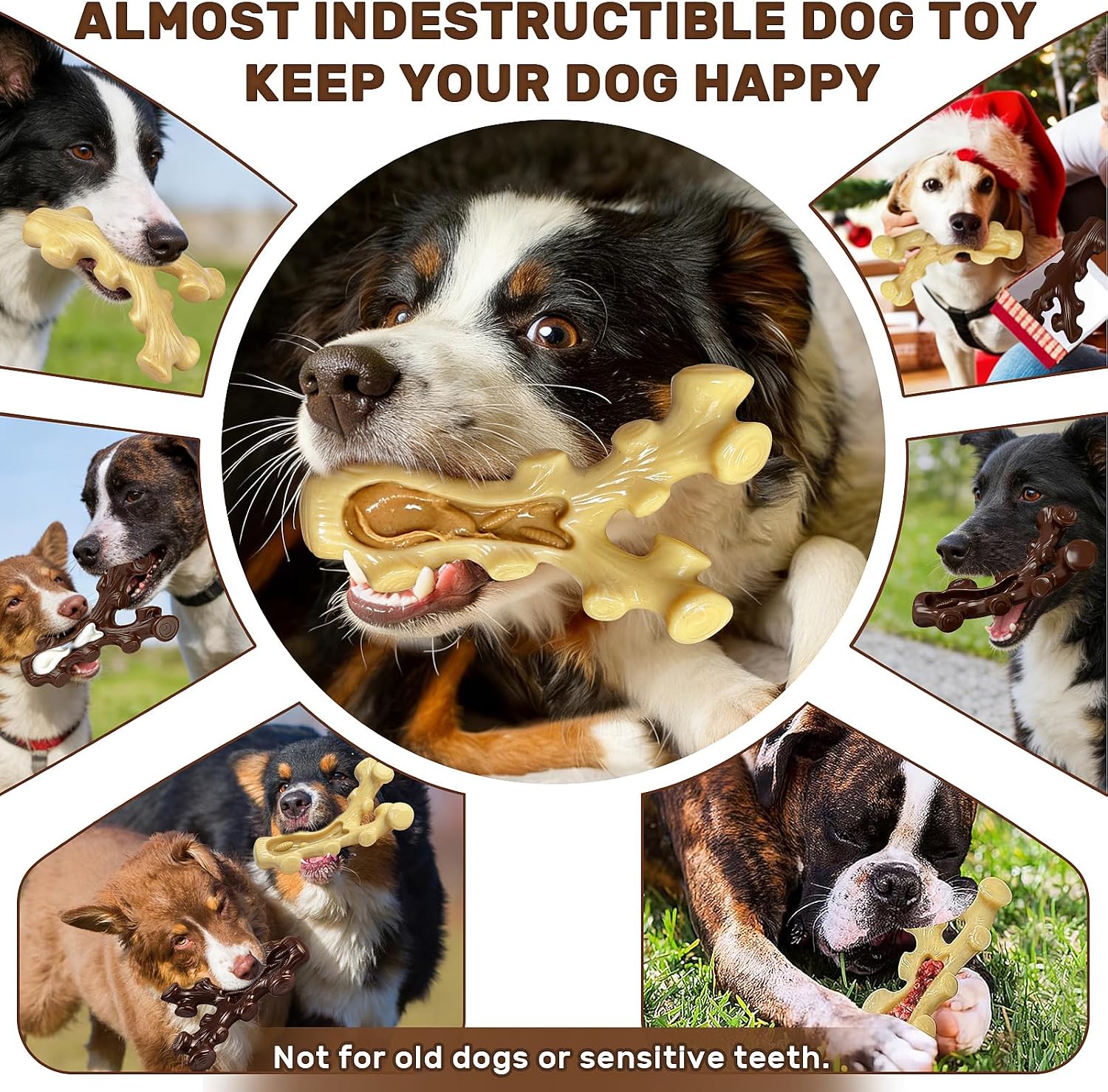 Durable nylon chew toys with bacon and wood scents