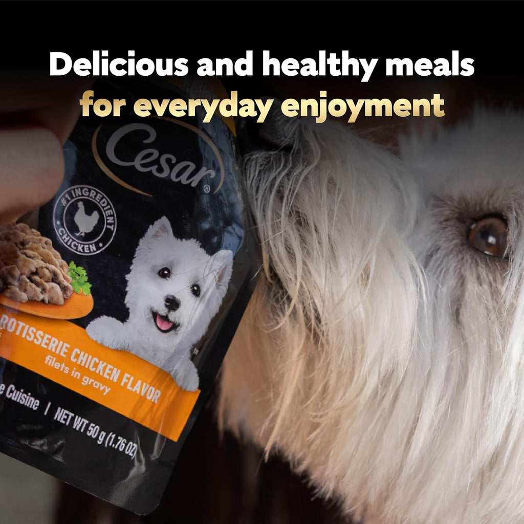 Detailed view of Cesar 40 count wet dog food mini pouches