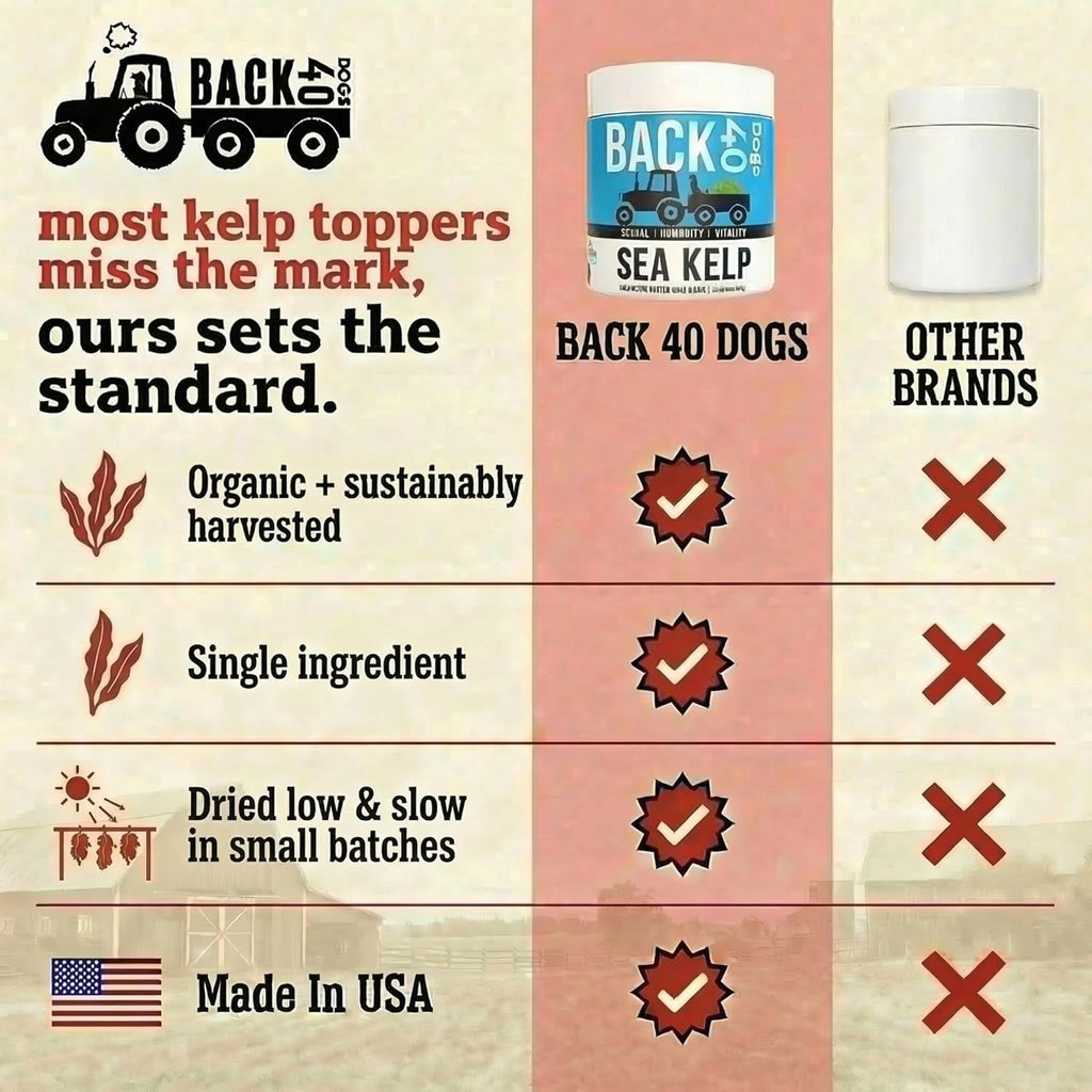Back 40 Dogs natural iodine rich kelp powder for dog thyroid support
