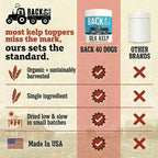 Back 40 Dogs natural iodine rich kelp powder for dog thyroid support