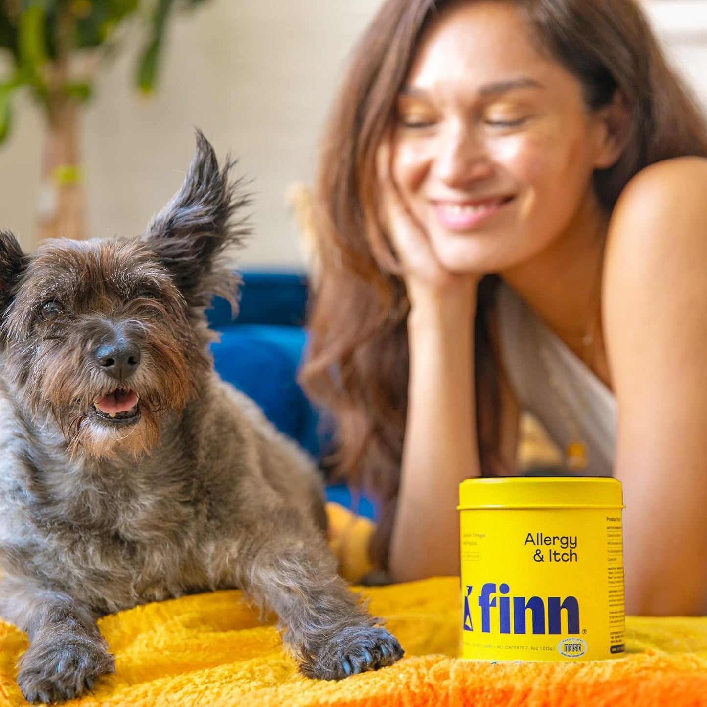 Veterinarian formulated Finn allergy and immune support chews for daily canine wellness.
