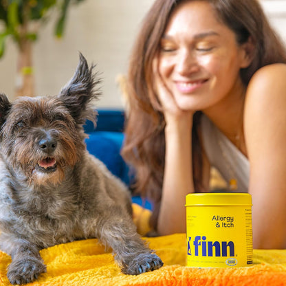 Veterinarian formulated Finn allergy and immune support chews for daily canine wellness.