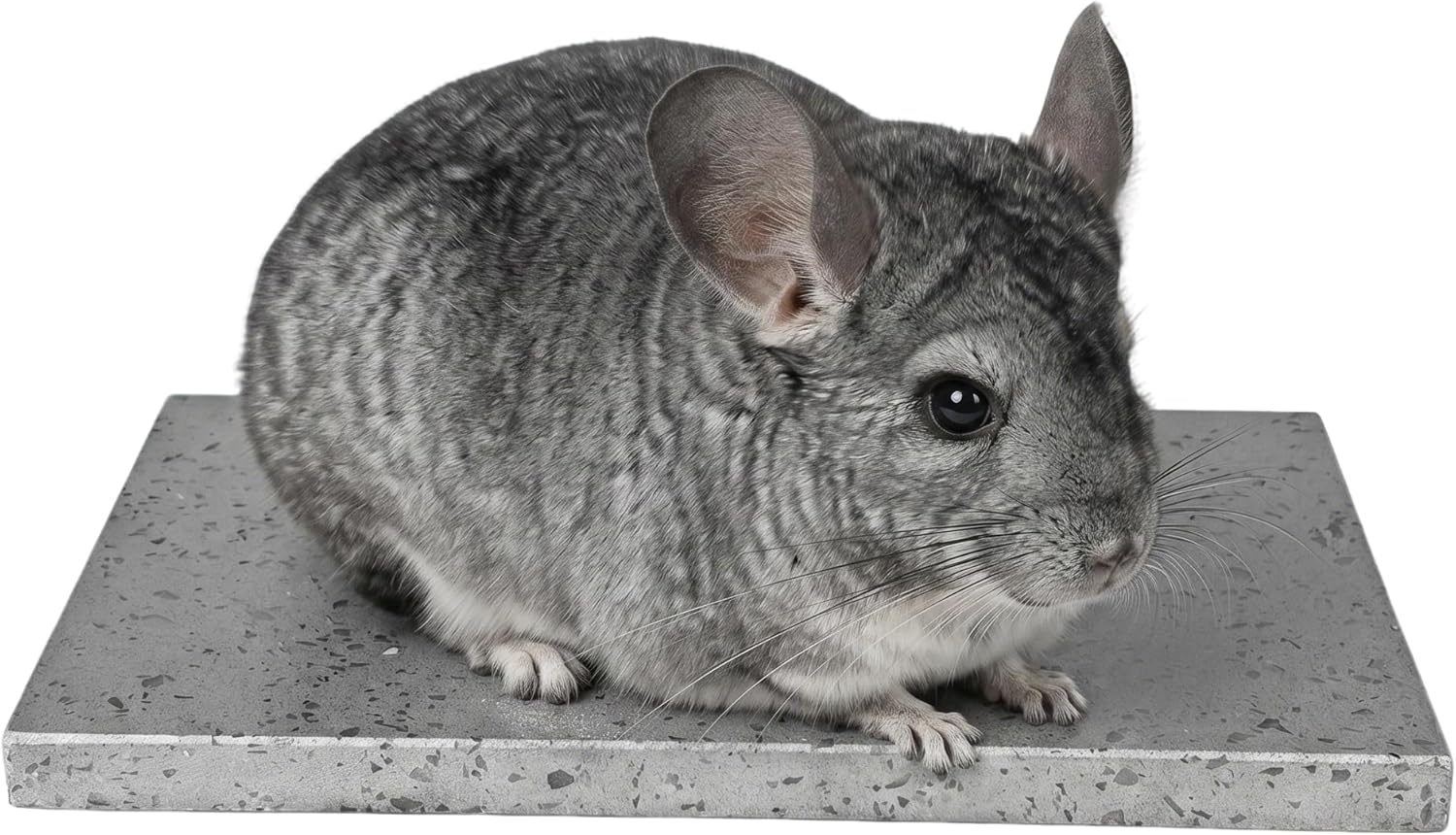 Chinchilla Cooling Stone Durable Cool Down Easy Clean in Hot Summer for Rabbit Hamster Guinea Pig Chinchilla Kitten Small Animals Spots of Dark Grey - Image 1