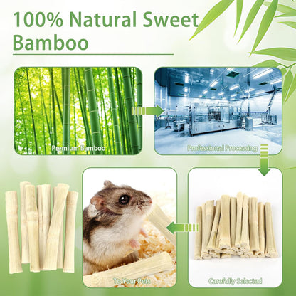 Premium bunny chew toys for healthy dental growth and anxiety relief