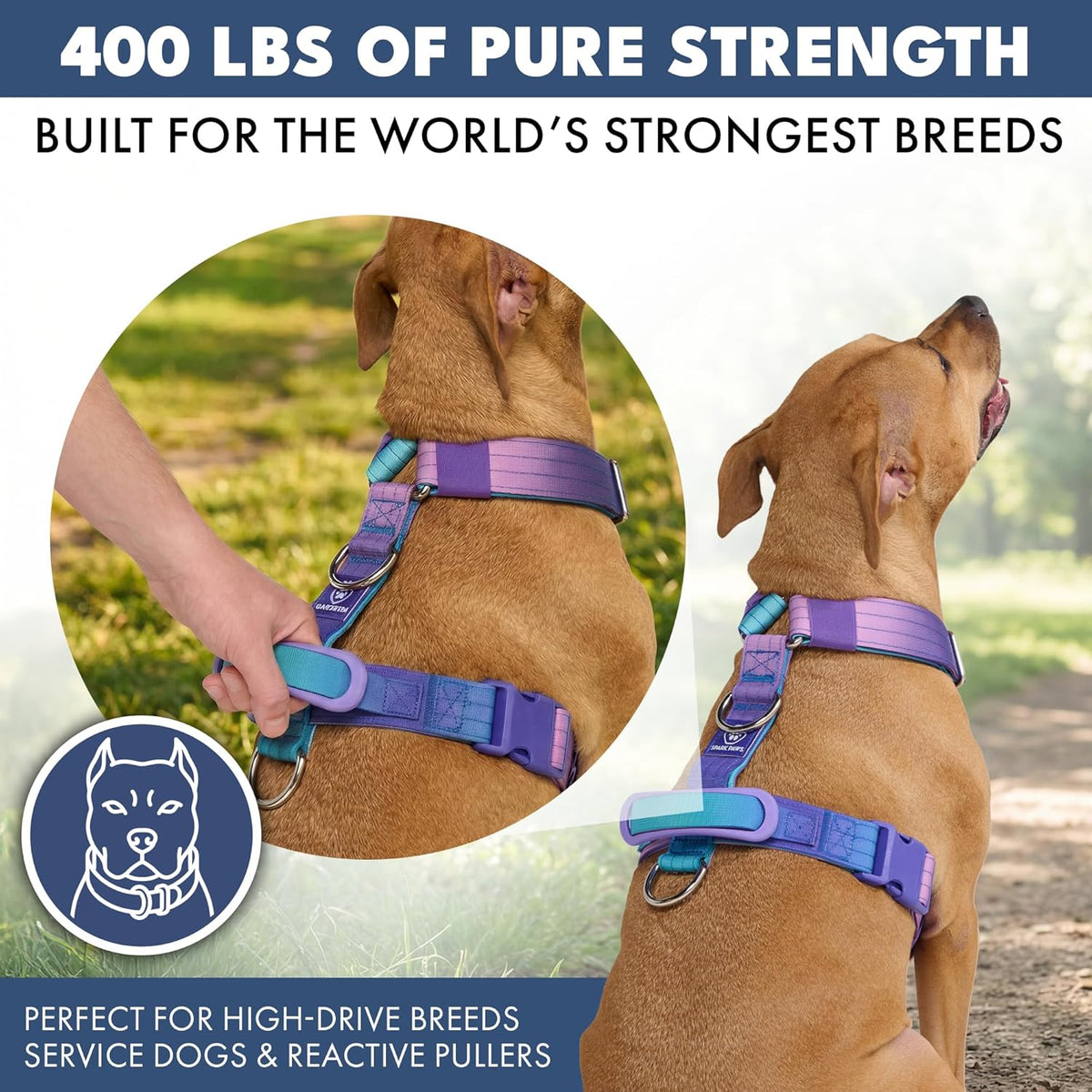 Front clip no pull training harness for large dogs in purple and blue