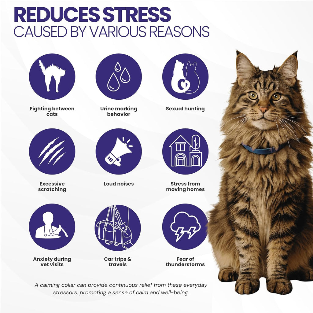 Back of the box detailing step-by-step instructions for the non-toxic cat breakaway collar.