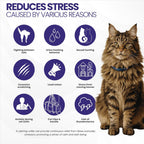 Back of the box detailing step-by-step instructions for the non-toxic cat breakaway collar.