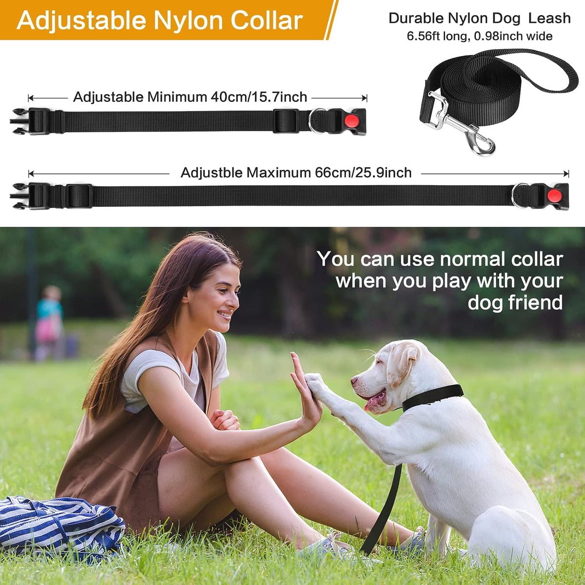 Dog training collar with quick release snap buckle and secure metal D ring attachment.