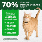 Greenies 9.75 ounce value size tub for adult cats lifestyle setting