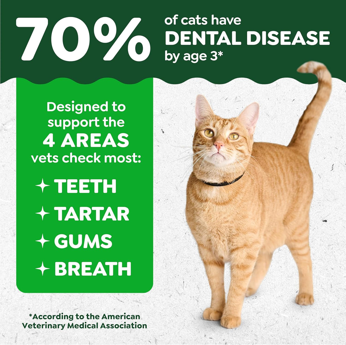 Greenies 9.75 ounce value size tub for adult cats lifestyle setting