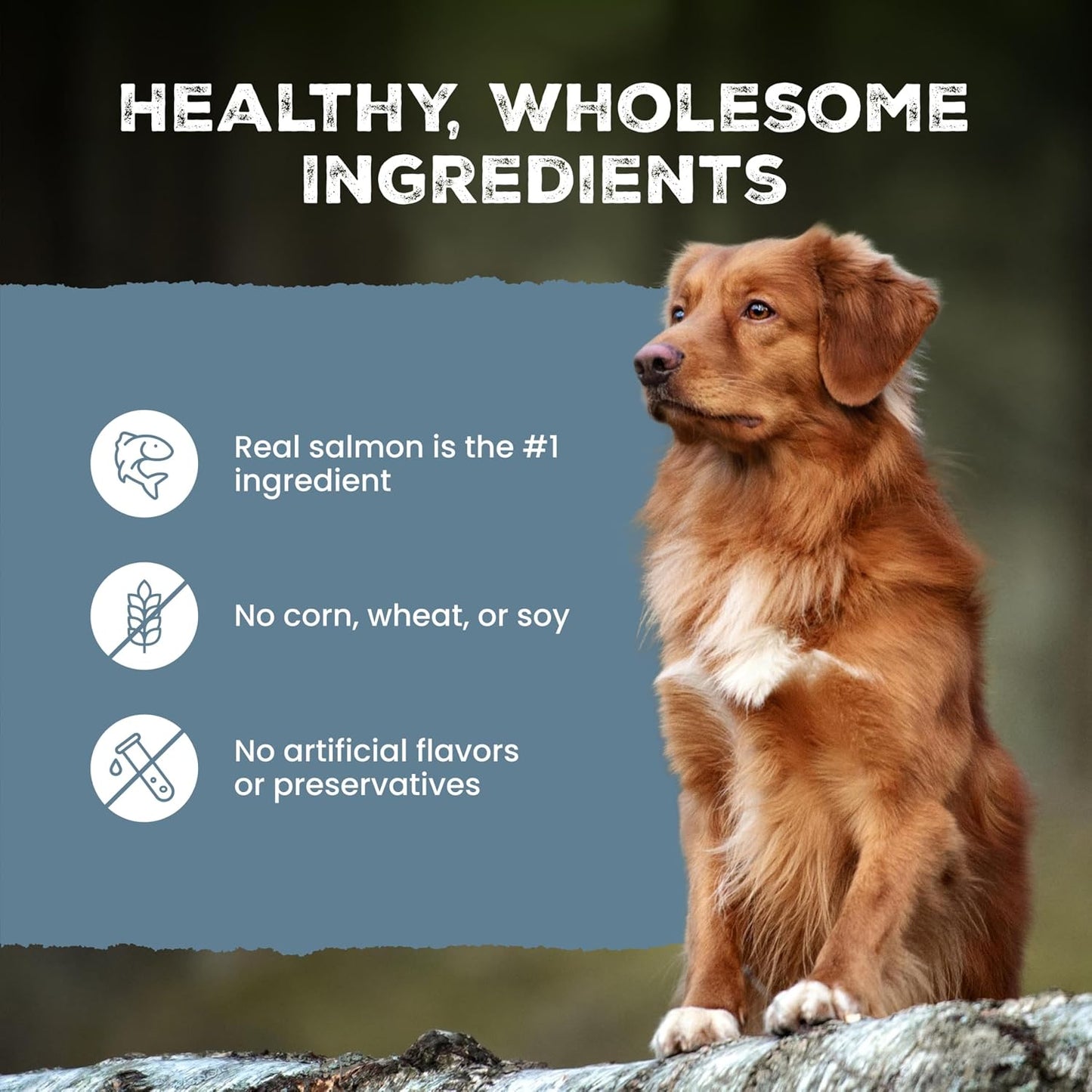 Blue Buffalo Wilderness Trail Treats twenty four ounce bag authentic imported formula