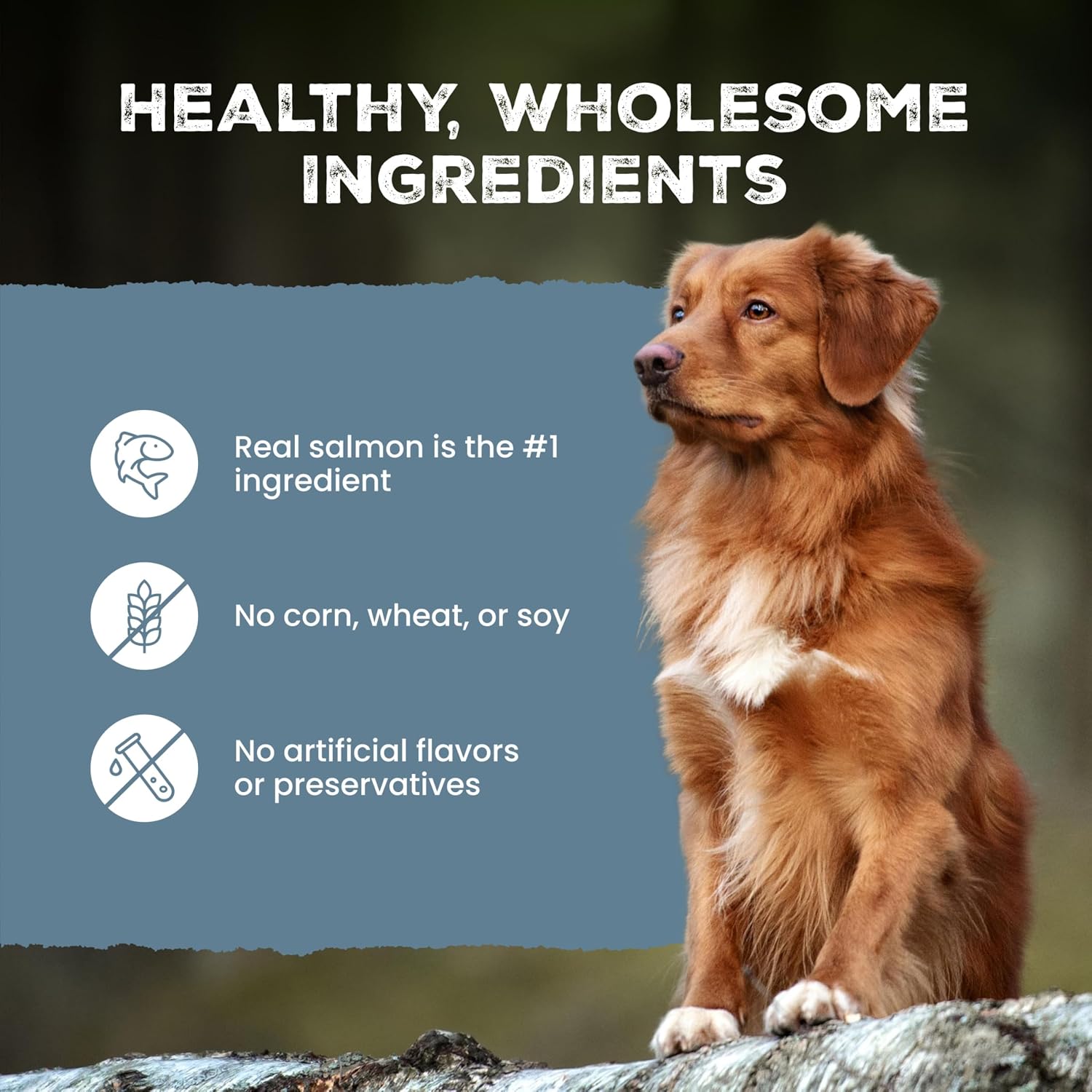 Blue Buffalo Wilderness Trail Treats twenty four ounce bag authentic imported formula