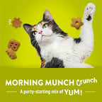 Friskies breakfast flavor cat treats featuring egg bacon and cheese shapes close up