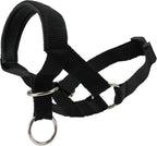 Dogs My Love premium imported canine behavioral control collar package