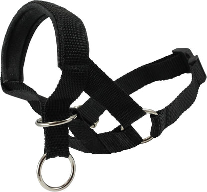Dogs My Love premium imported canine behavioral control collar package