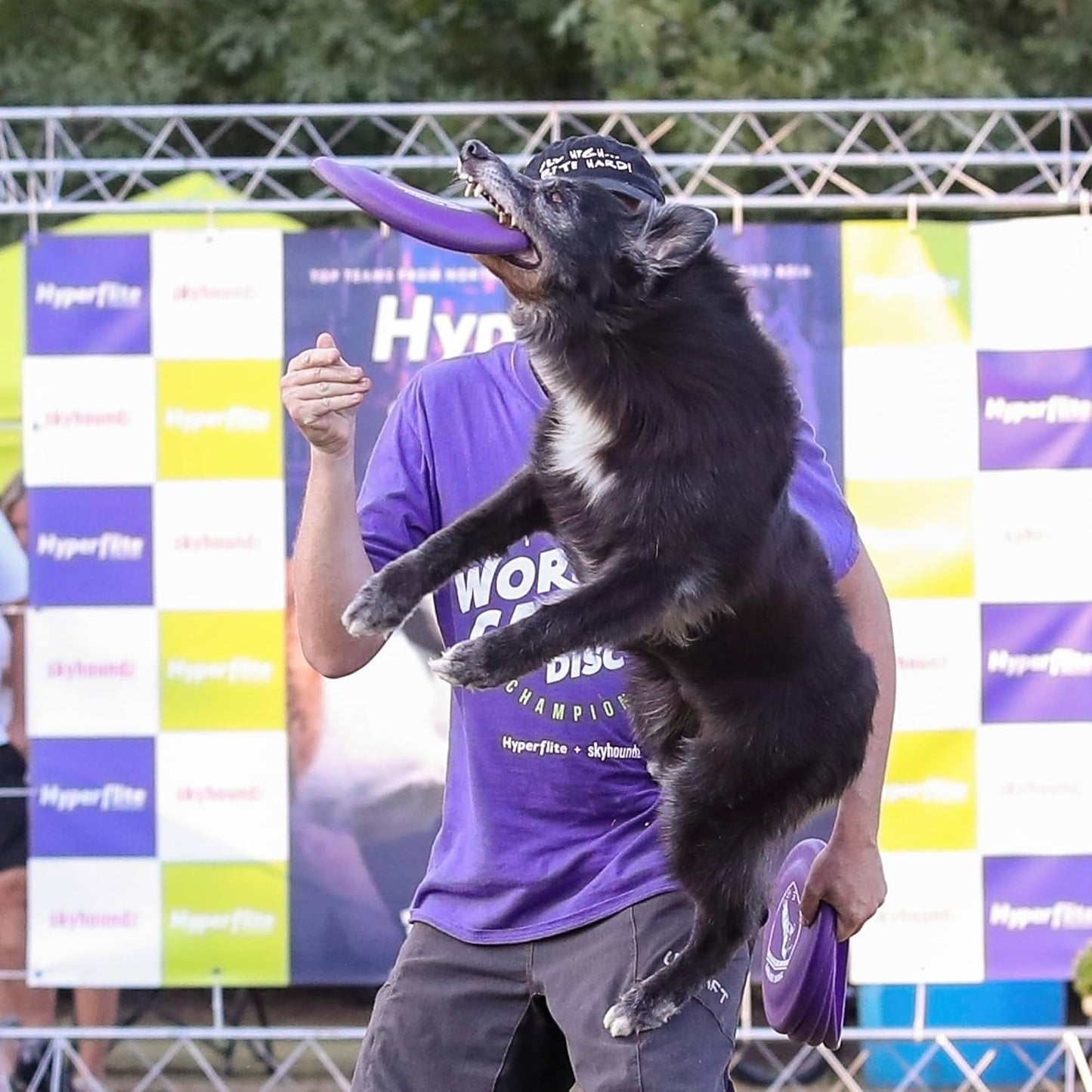 Durable flexible dog disc designed for professional training