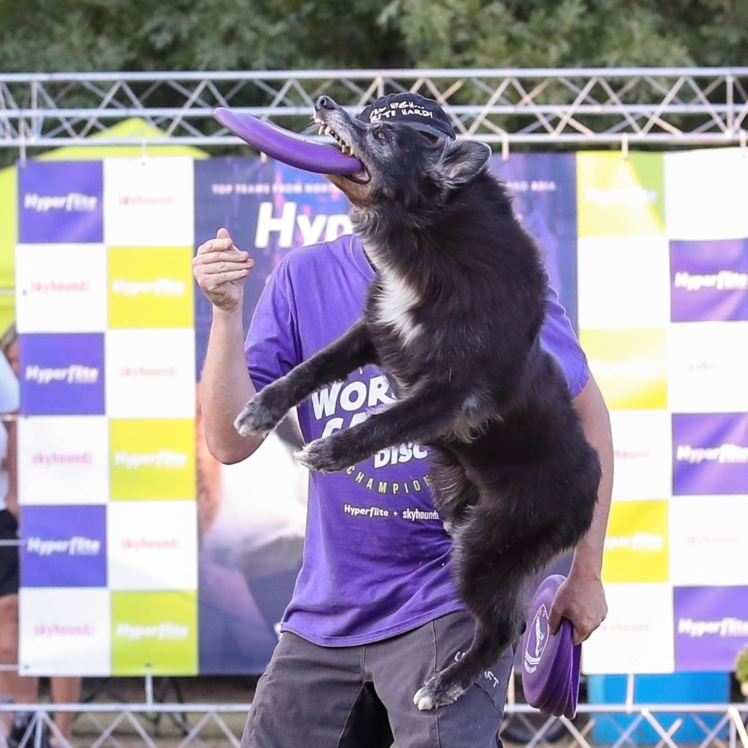 Durable flexible dog disc designed for professional training