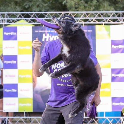 Durable flexible dog disc designed for professional training
