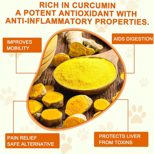 Alivo Turmeric dog chewable tablets packaging highlighting hip and joint support benefits