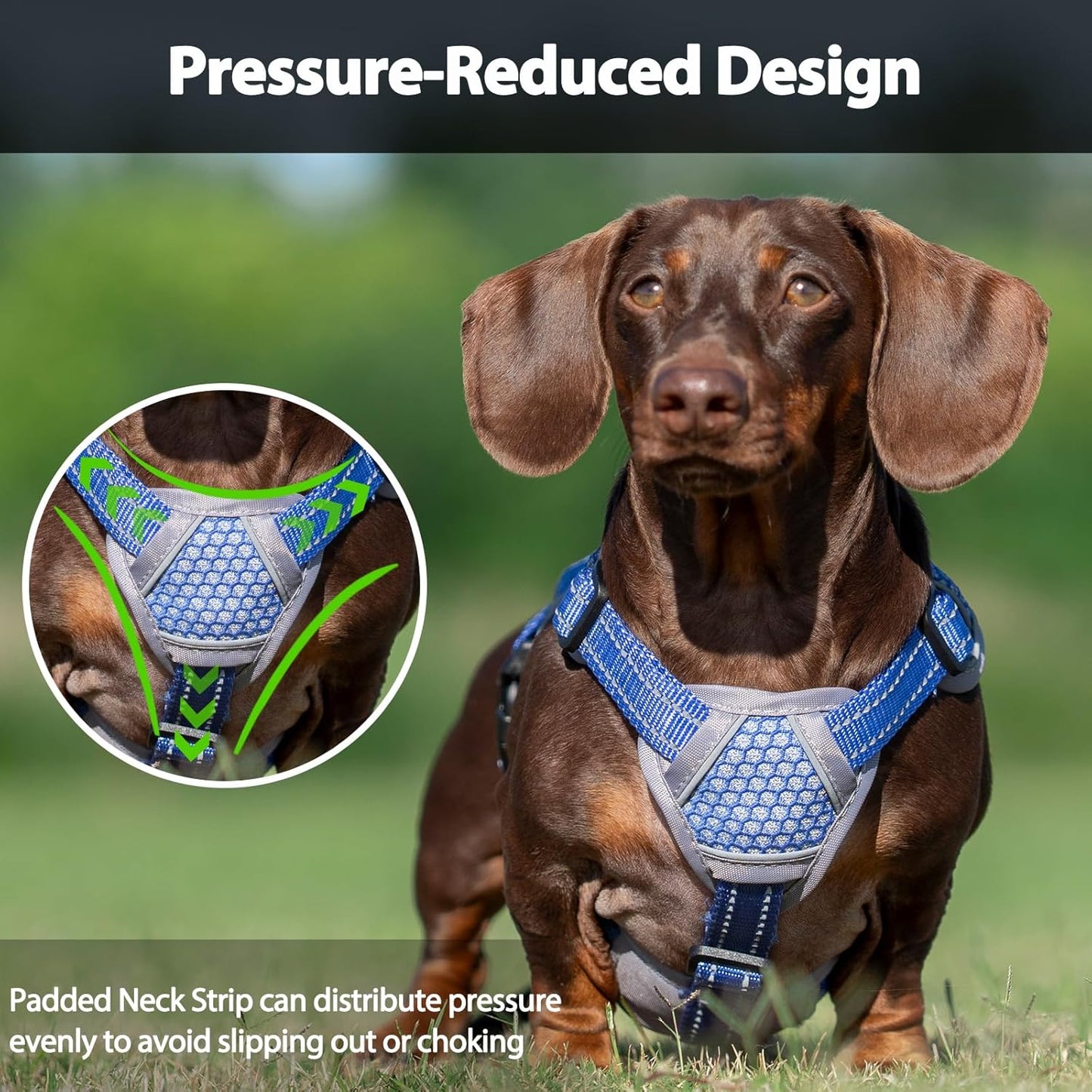 Huntboo escape proof dog harness close up of metal leash ring