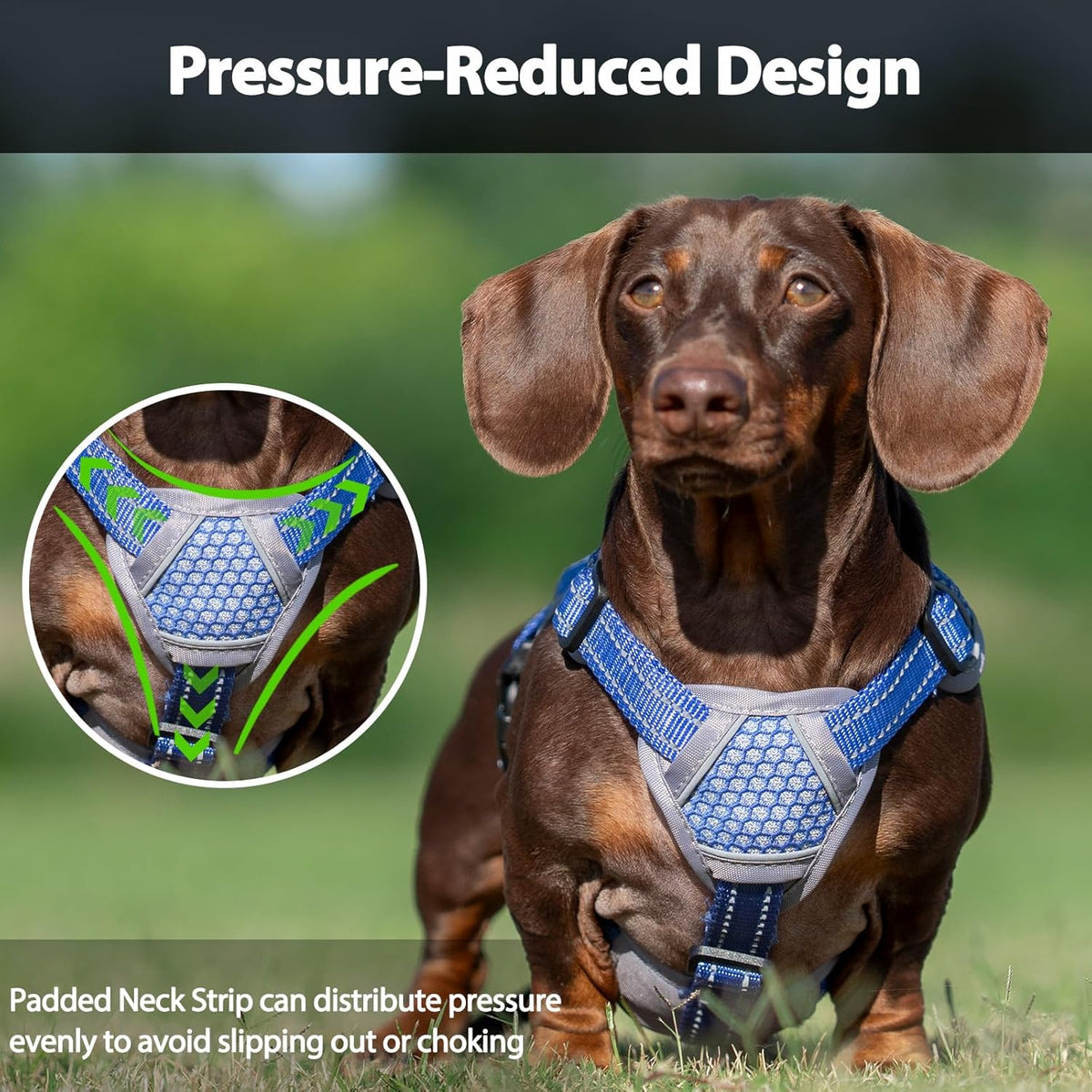 Huntboo escape proof dog harness close up of metal leash ring