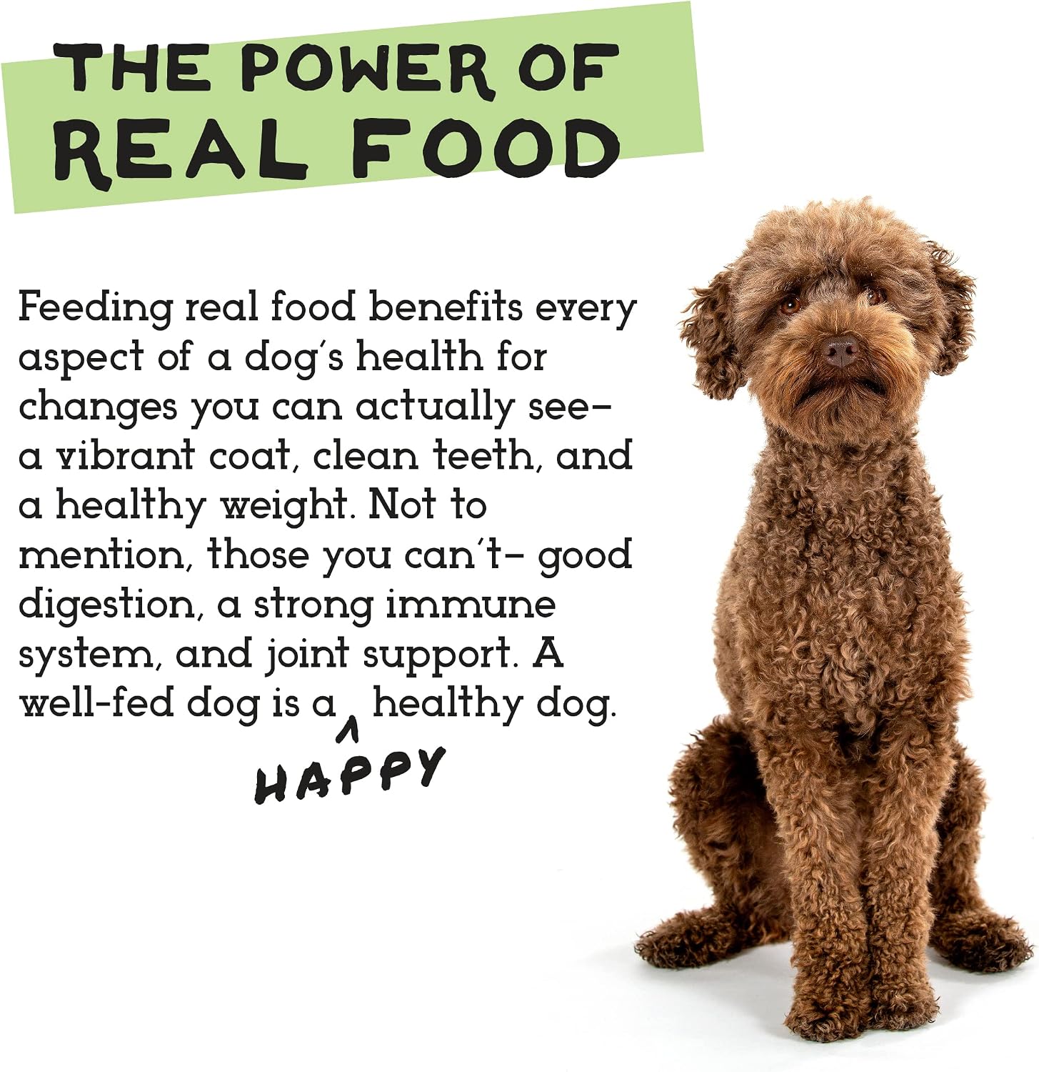 Simple Food Project - Beef & Salmon Recipe - Freeze Dried Raw Food for Dogs - 48oz - Image 9