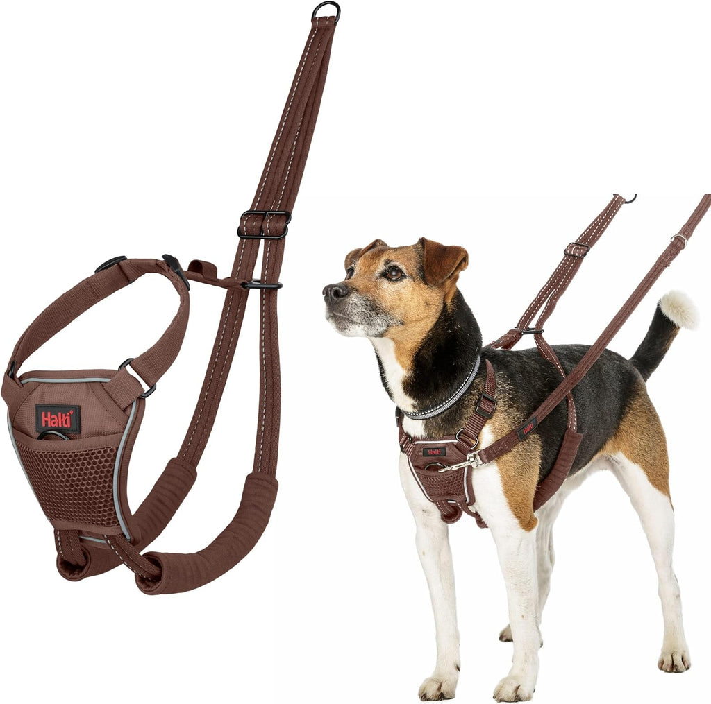 Professional Halti harness design for dog training