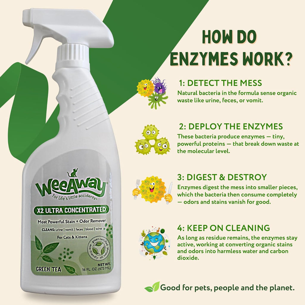 Wee Away X2 cat urine remover applied on a carpet stain