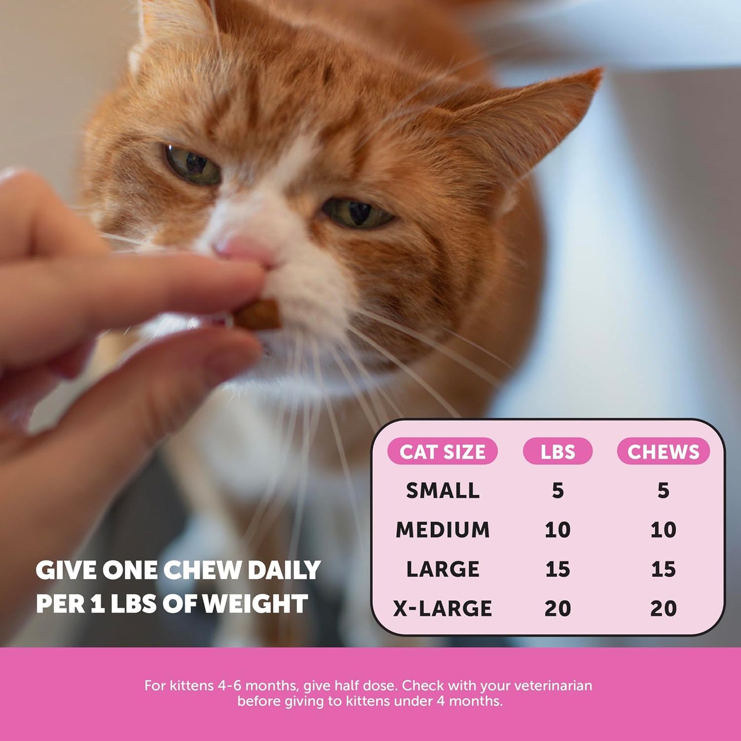 Close up of Pet Honesty chicken flavored cat treat texture