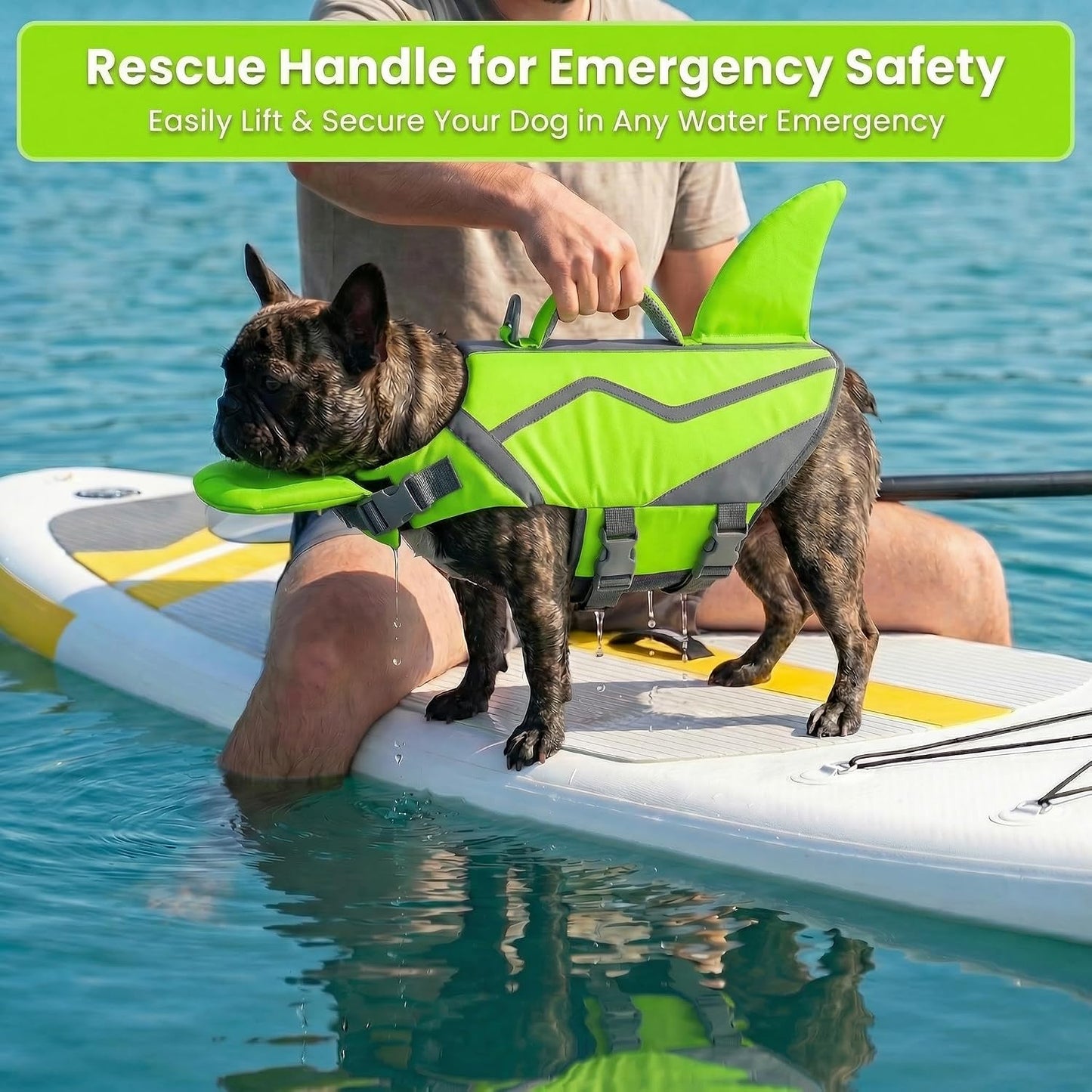 Doglay Shark Dog Life Jacket with Removable Neck Float, High Buoyancy Adjustable Pet Swim Vest with Rescue Handle for Swimming & Boating, for Small Medium Large Dogs, M, Bright Green - Image 9