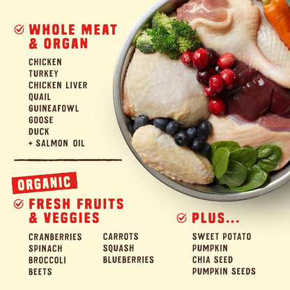 Premium raw coated grain free kibble for picky dogs packaging details
