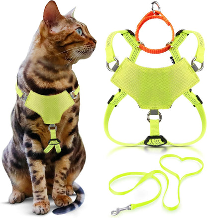 OutdoorBengal Always On(TM) Martingale Cat Harness and Leash Escape Proof Set - Vest for All-Day Kitten Adventures - Adult Cats - Cat Leash and Harness Escape Proof + Leash (Black, M/L) - Image 10