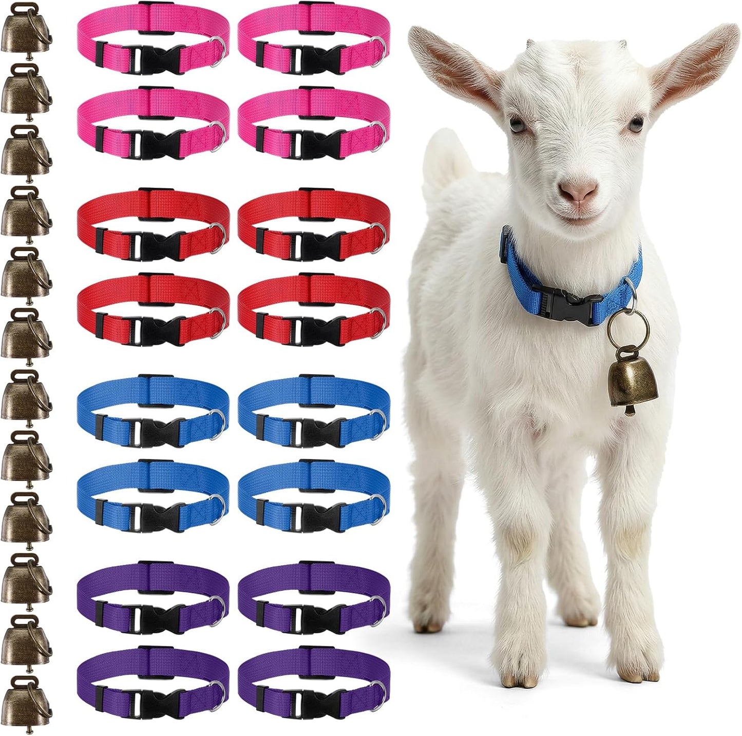 Gindoor Maquita 12 pack goat collars with bells front view showing four assorted colors
