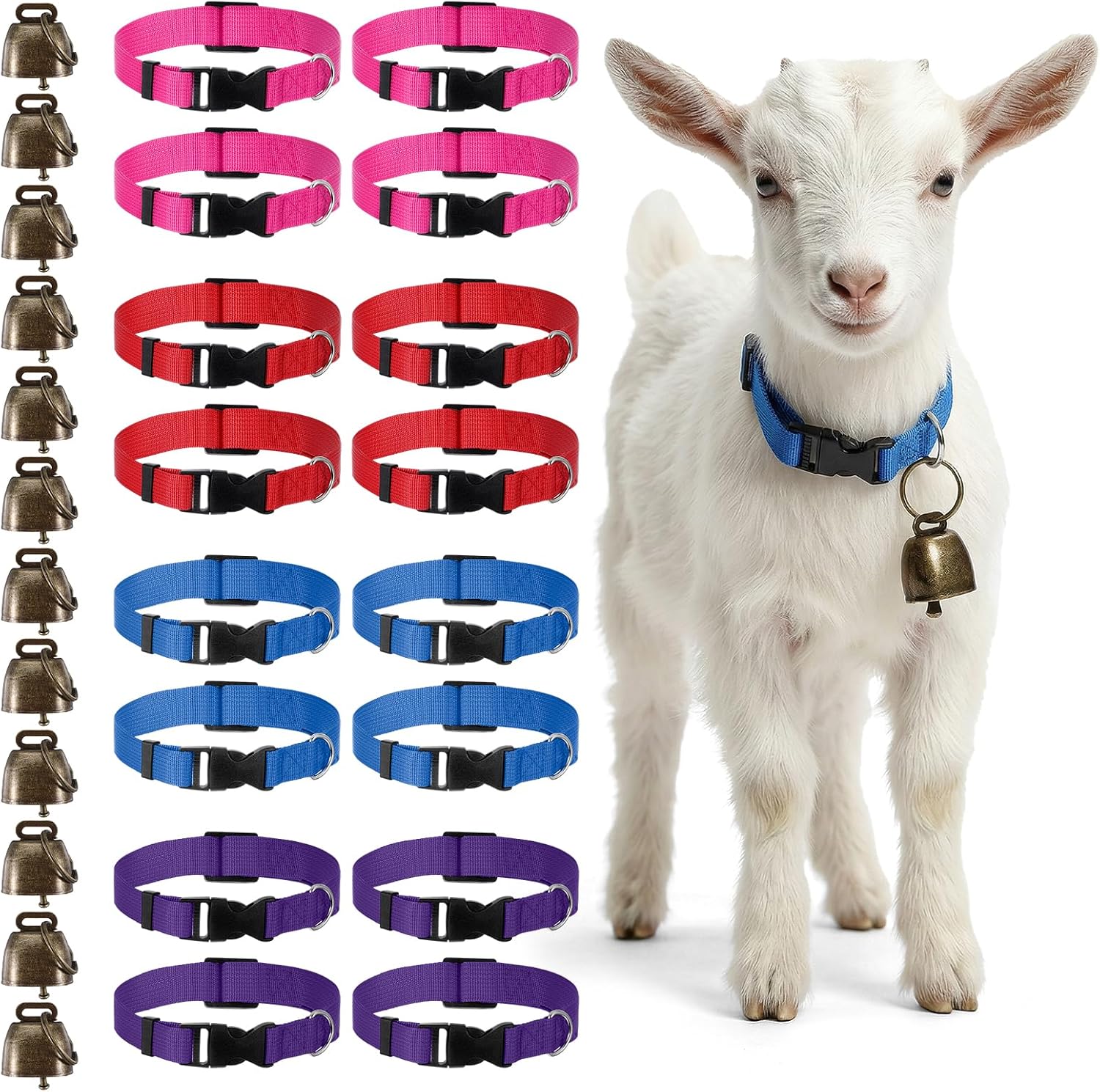 Gindoor Maquita 12 pack goat collars with bells front view showing four assorted colors